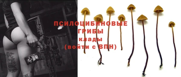 синтетический гашиш Каменск-Шахтинский