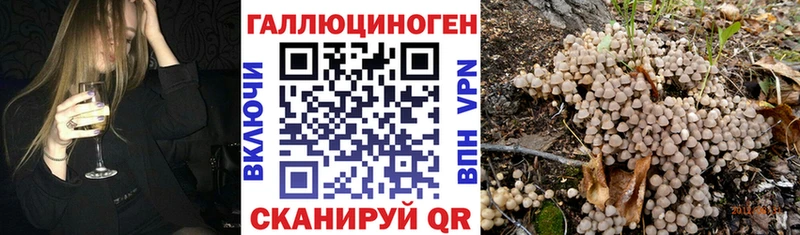 Галлюциногенные грибы мицелий  Купить  Зима 